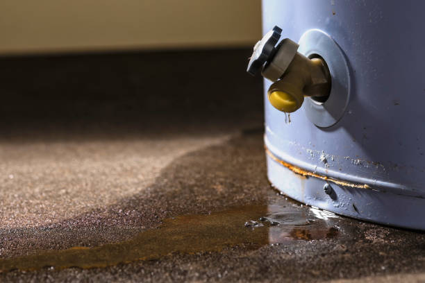 Best 24-hour water damage restoration  in Glenville, WV