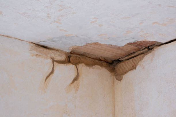 Best Sewage cleanup and water damage restoration  in Glenville, WV