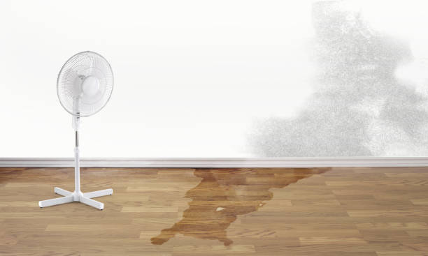 Best Ceiling water damage repair  in Glenville, WV