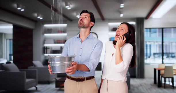 Best Water damage contractors near me  in Glenville, WV