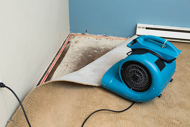 Best Water damage restoration near me  in Glenville, WV